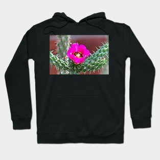 Pink Blooming Cholla Cactus Hoodie